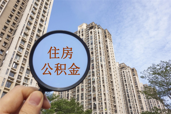 公积金还看征信吗吗_当阳公积金代办在职离职封存服务